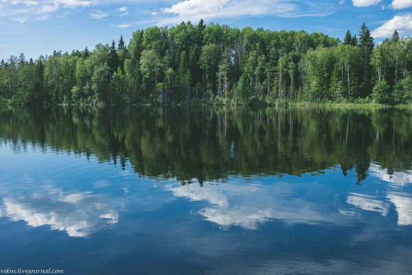 Валдайский заповедник Новгородской области