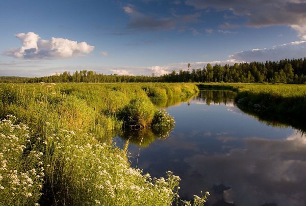 Валдайский нац парк