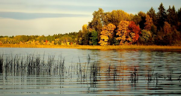 Валдай заповедник