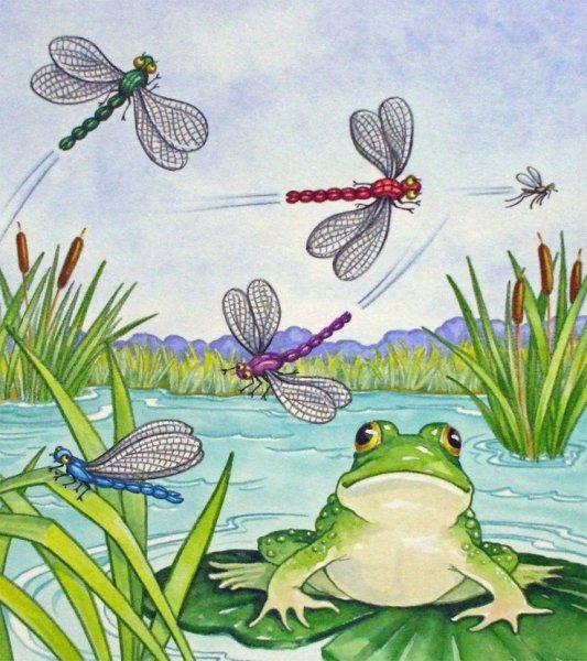 Лягушка в камышах
