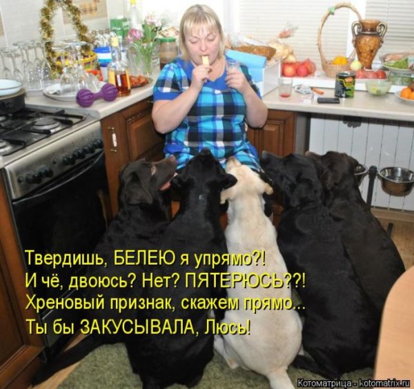 Хотелось выпить закусить и бац твой день рождения