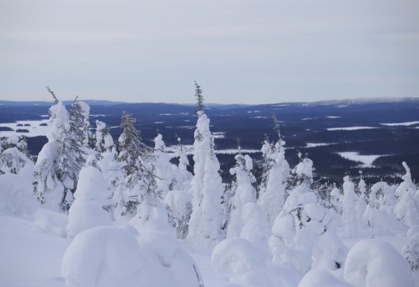 Парк Паанаярви Карелия