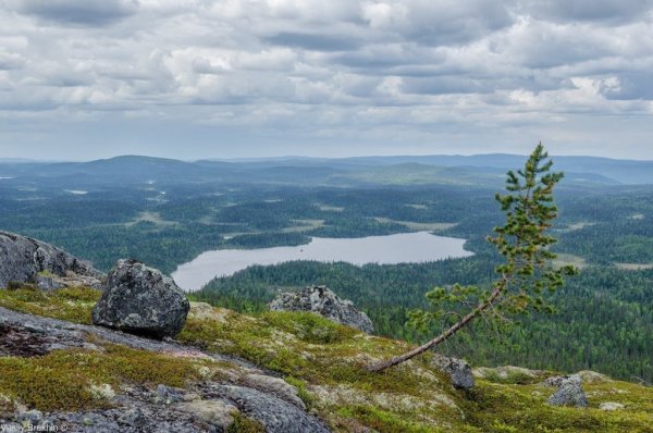Паанаярви национальный парк в Карелии