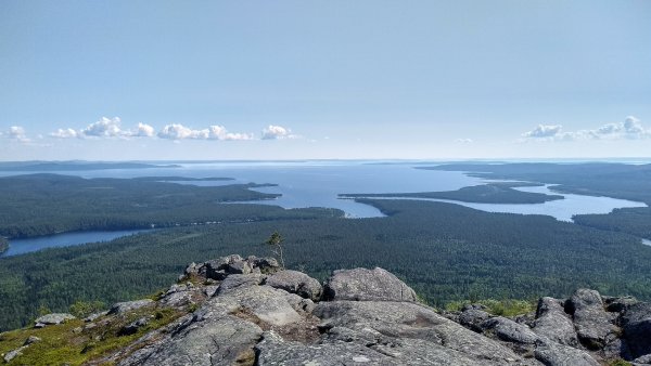 Паанаярви национальный парк
