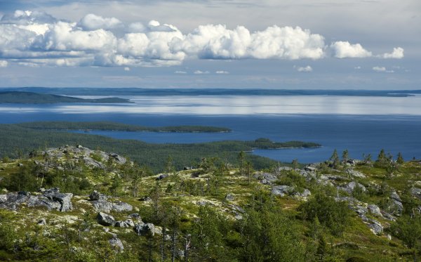 Паанаярви гора Кивакка