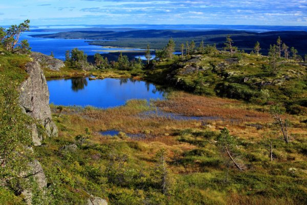 Паанаярви национальный парк