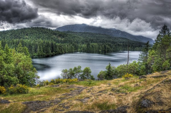 Парк Паанаярви