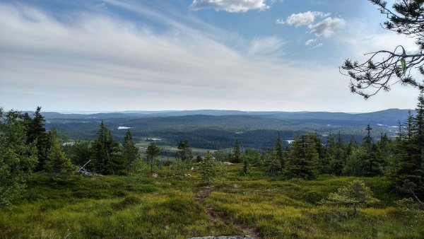 Петрозаводск Паанаярви