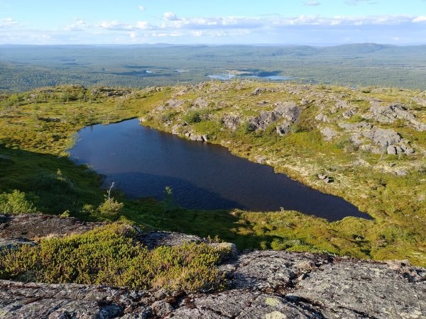 Заповедник в Карелии Паанаярви