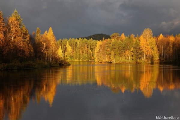 Заповедник в Карелии Паанаярви