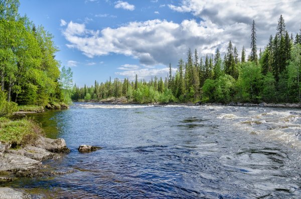 Паанаярви национальный парк