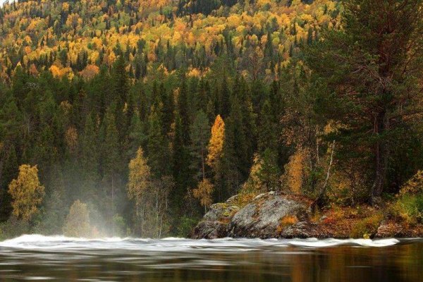 Заповедник в Карелии Паанаярви