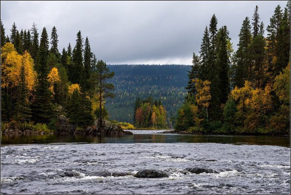 Парк Паанаярви Карелия