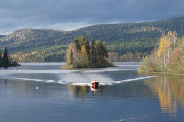 Паанаярви национальный парк