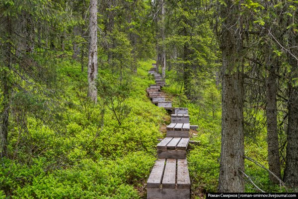 Паанаярви национальный парк в Карелии