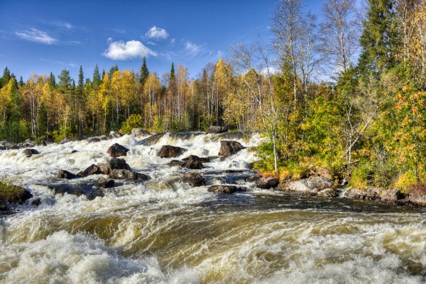 Паанаярви национальный парк