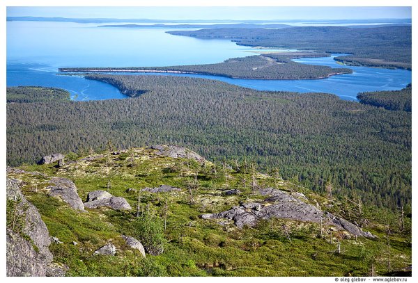 Паанаярви национальный парк в Карелии