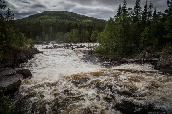 Паанаярви национальный парк