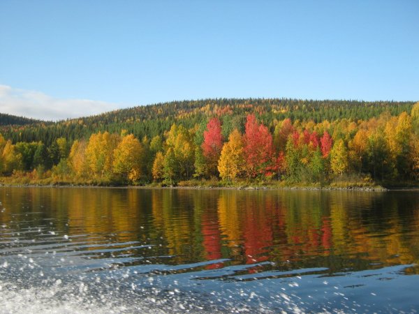 Парк Паанаярви Карелия