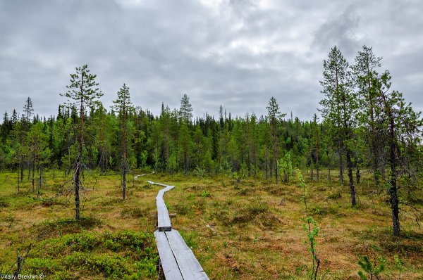 Паанаярви национальный парк