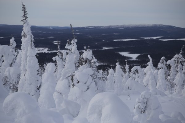 Национальный парк Паанаярви гора Нуорунен зимой