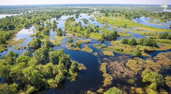 Белоруссия парк Припятский