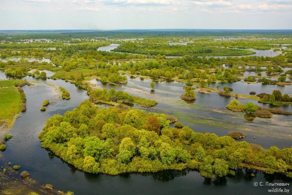 Национальный парк Припятский Беларусь