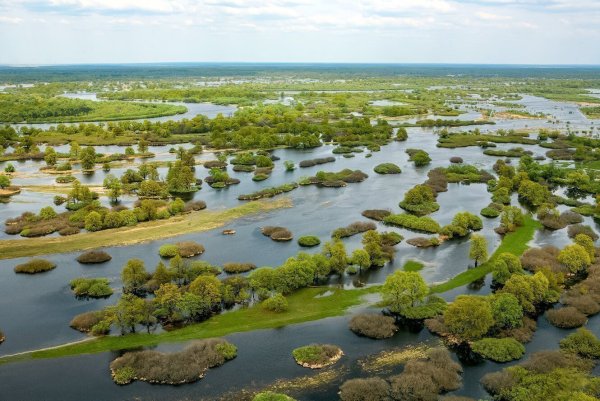 Национальный парк Припятский