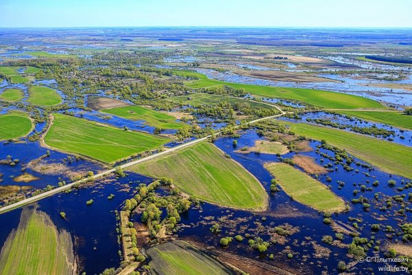 Припять (река) реки Белоруссии