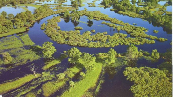 Национальный парк Припятский Беларусь