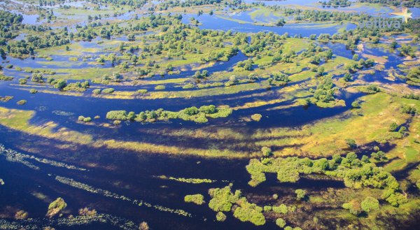 Национальный парк Припятский