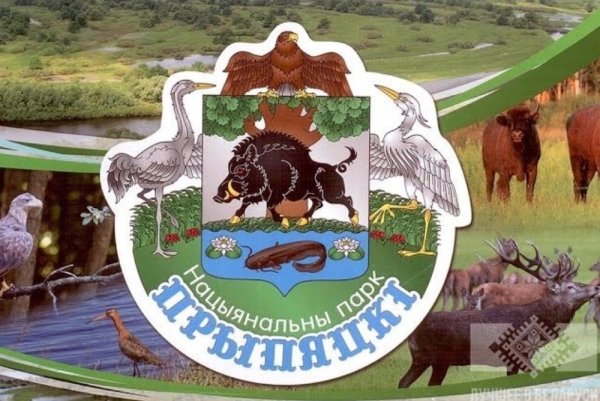 Национальный парк Припятский