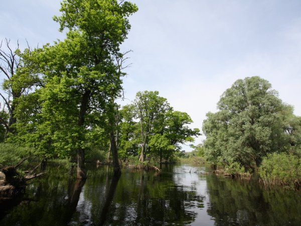 Нац парк Припятский