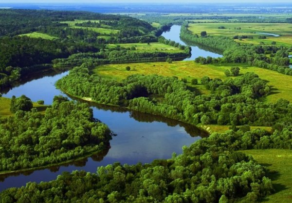 Национальный парк Припятский
