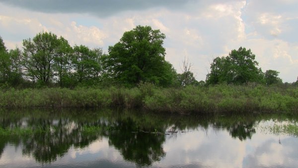 Гомель национальный парк