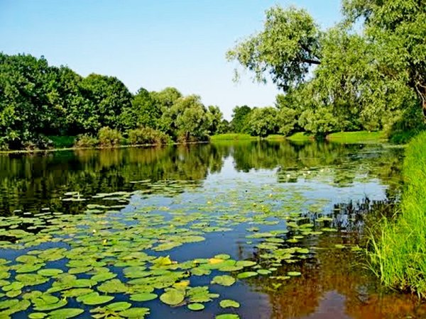 Парк Припятский Беларусь