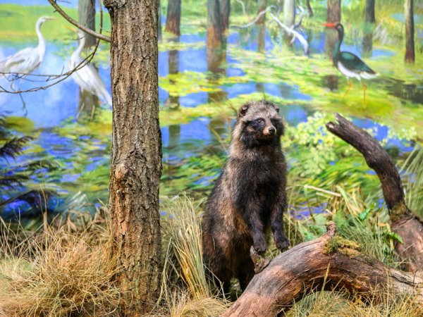 Национальный парк Припятский