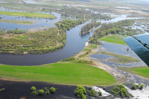 Белоруссия парк Припятский