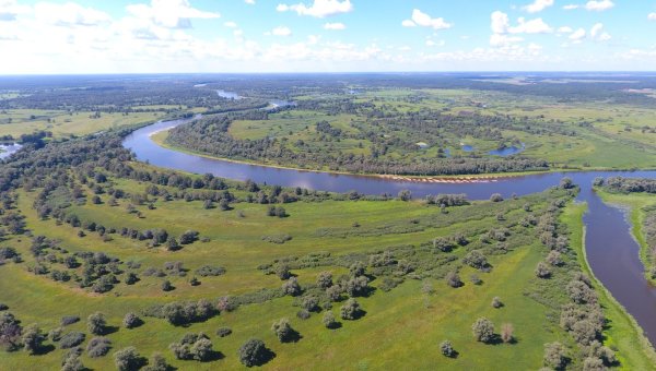 Припятский и Нарочанский