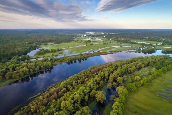 Река Припять в Беларуси