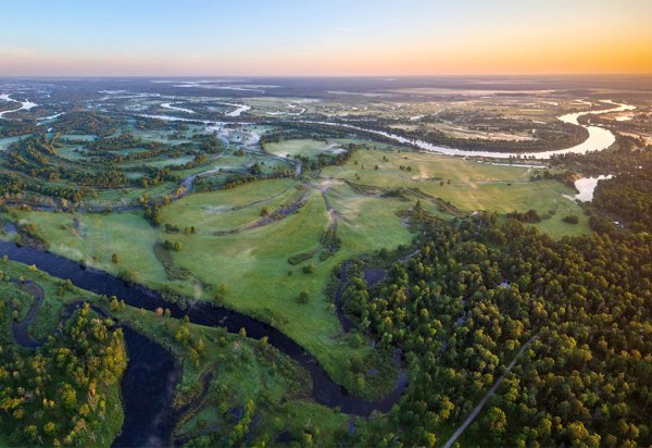 Полесская низменность