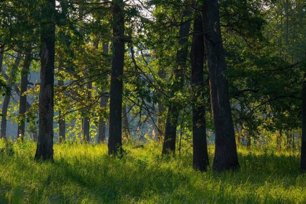 Припять заповедник