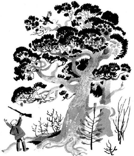 Рассказ Васюткино озеро иллюстрации к рассказу