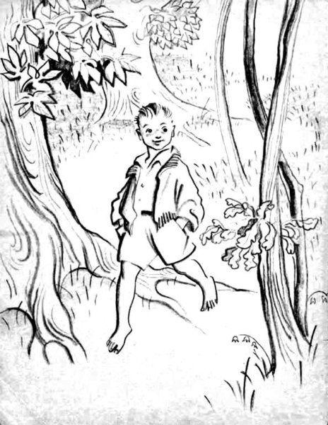 Приключения мальчика в лесу