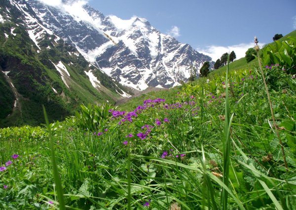 Приэльбрусье Альпийские Луга