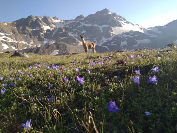 Национальный парк Приэльбрусье