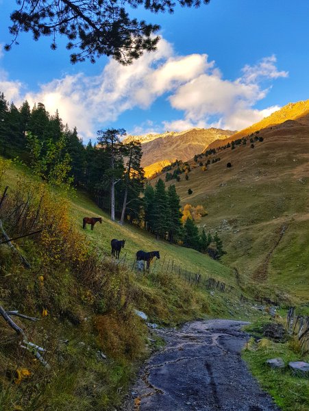 Терскол нац парк