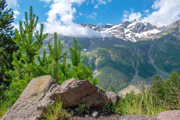 Заповедник парк Приэльбрусье
