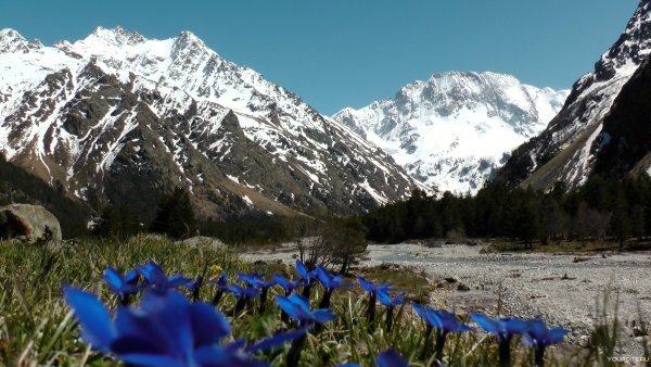 Альпийские Луга Приэльбрусья