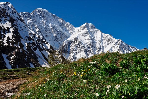 Эльбрус Приэльбрусье